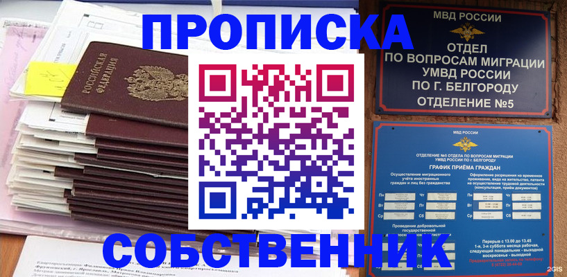 прописка законно в Королёве